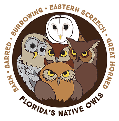 Florida Native Owls
