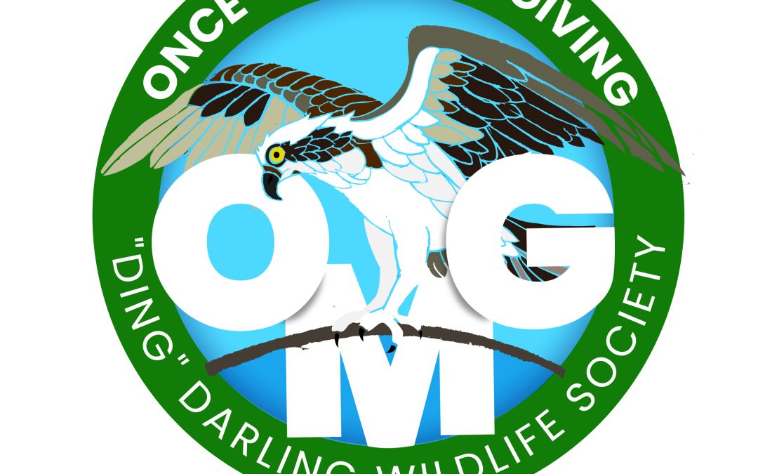 Logo | Ding Darling Wildlife Society