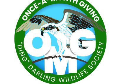 Logo | Ding Darling Wildlife Society