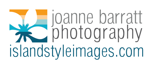 Logo | Island Style Images